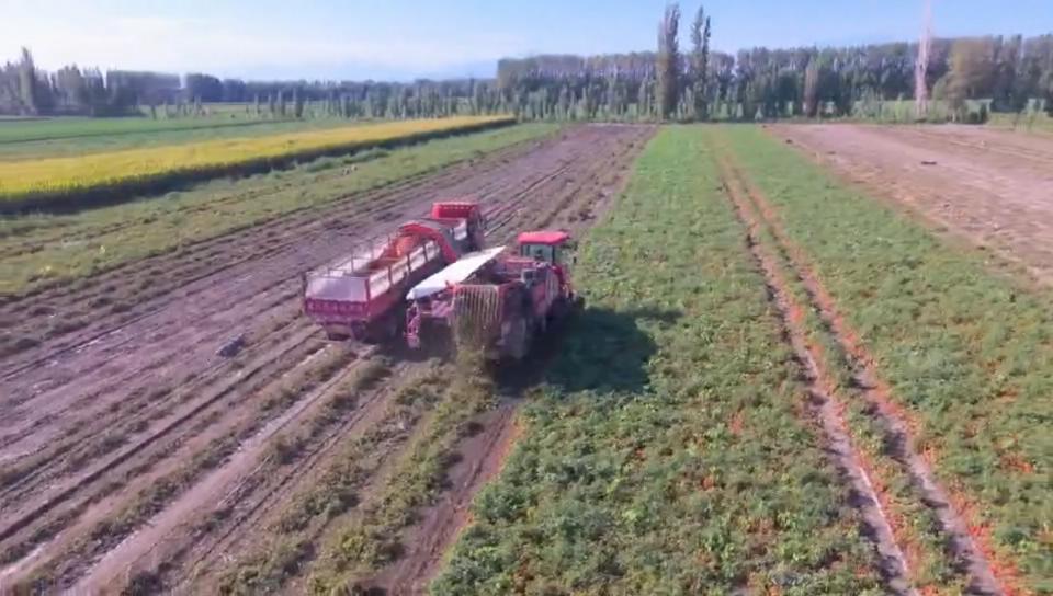2024-new-tomato-harvesting-equipment-factory-manufacturer-supplier